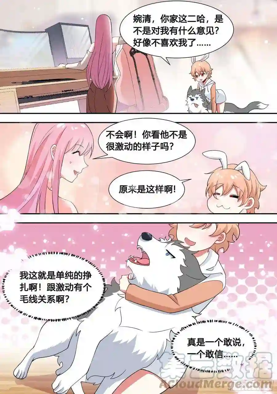 直播：女神家的哈士奇天秀86