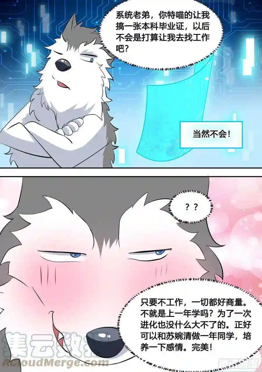 直播：女神家的哈士奇天秀87