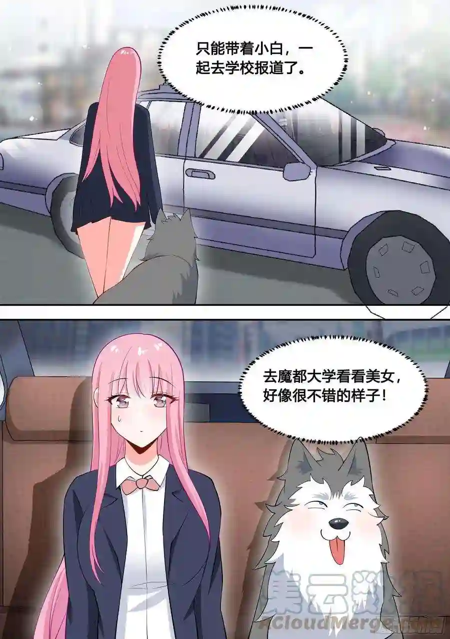 直播：女神家的哈士奇天秀87