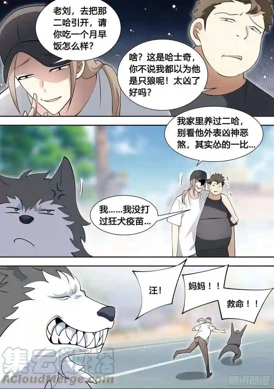 直播：女神家的哈士奇天秀87