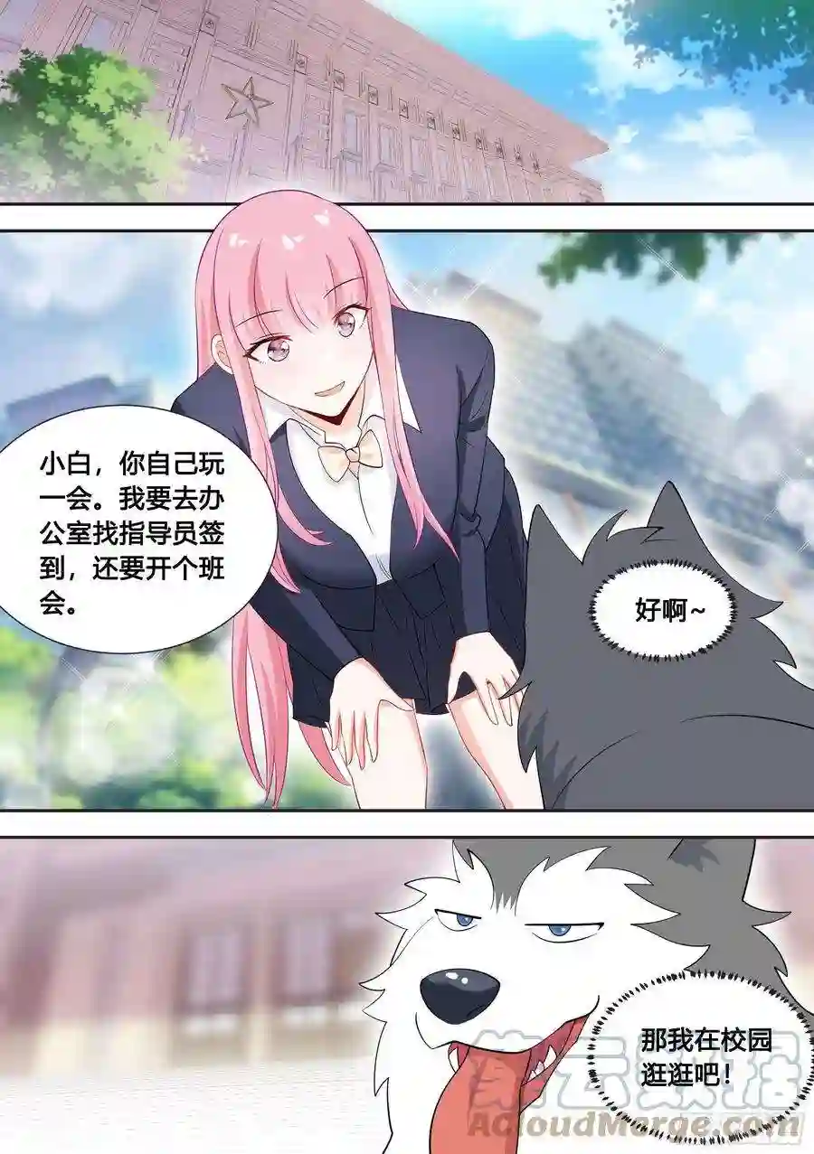 直播：女神家的哈士奇天秀87