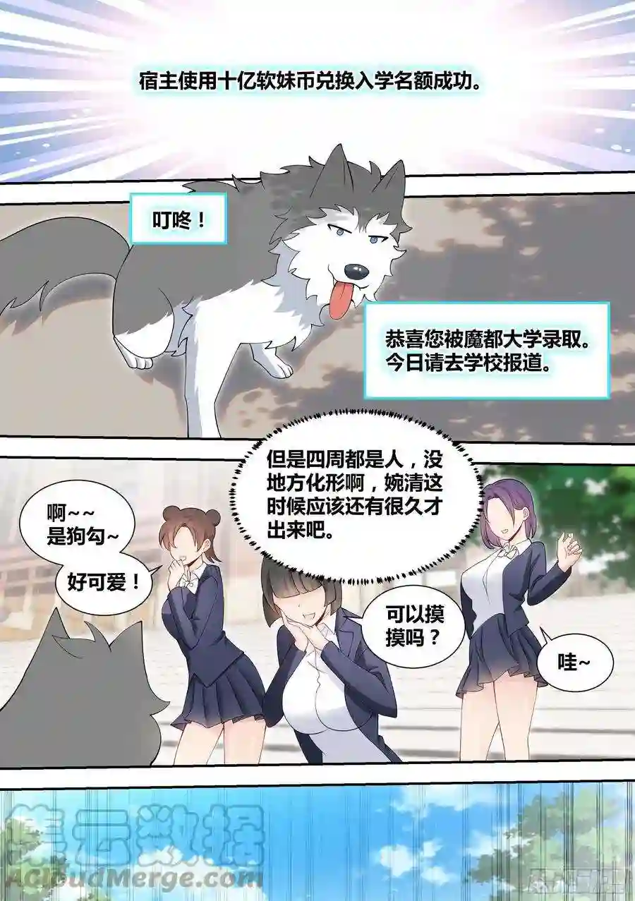 直播：女神家的哈士奇天秀88