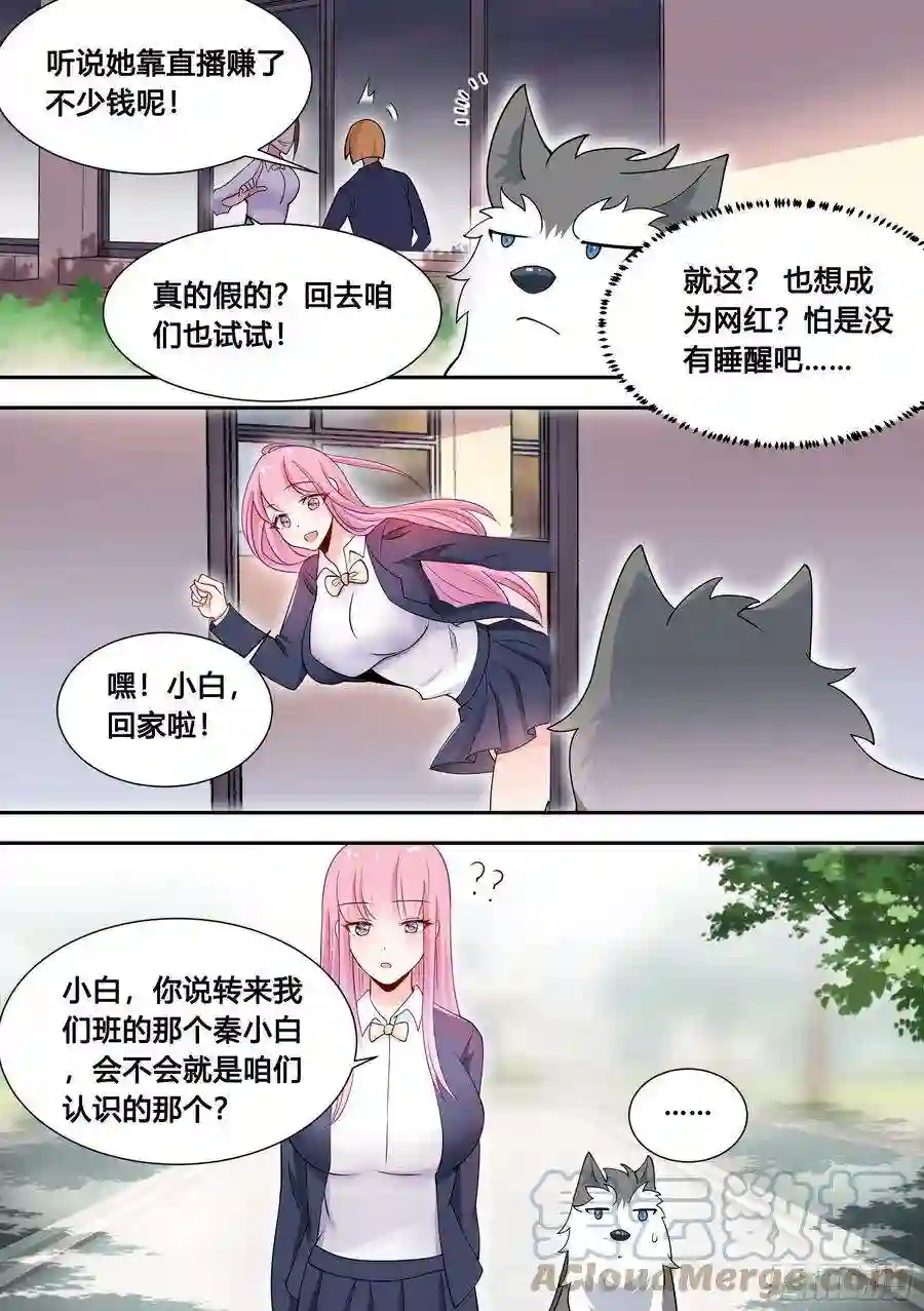 直播：女神家的哈士奇天秀89-人红是非多