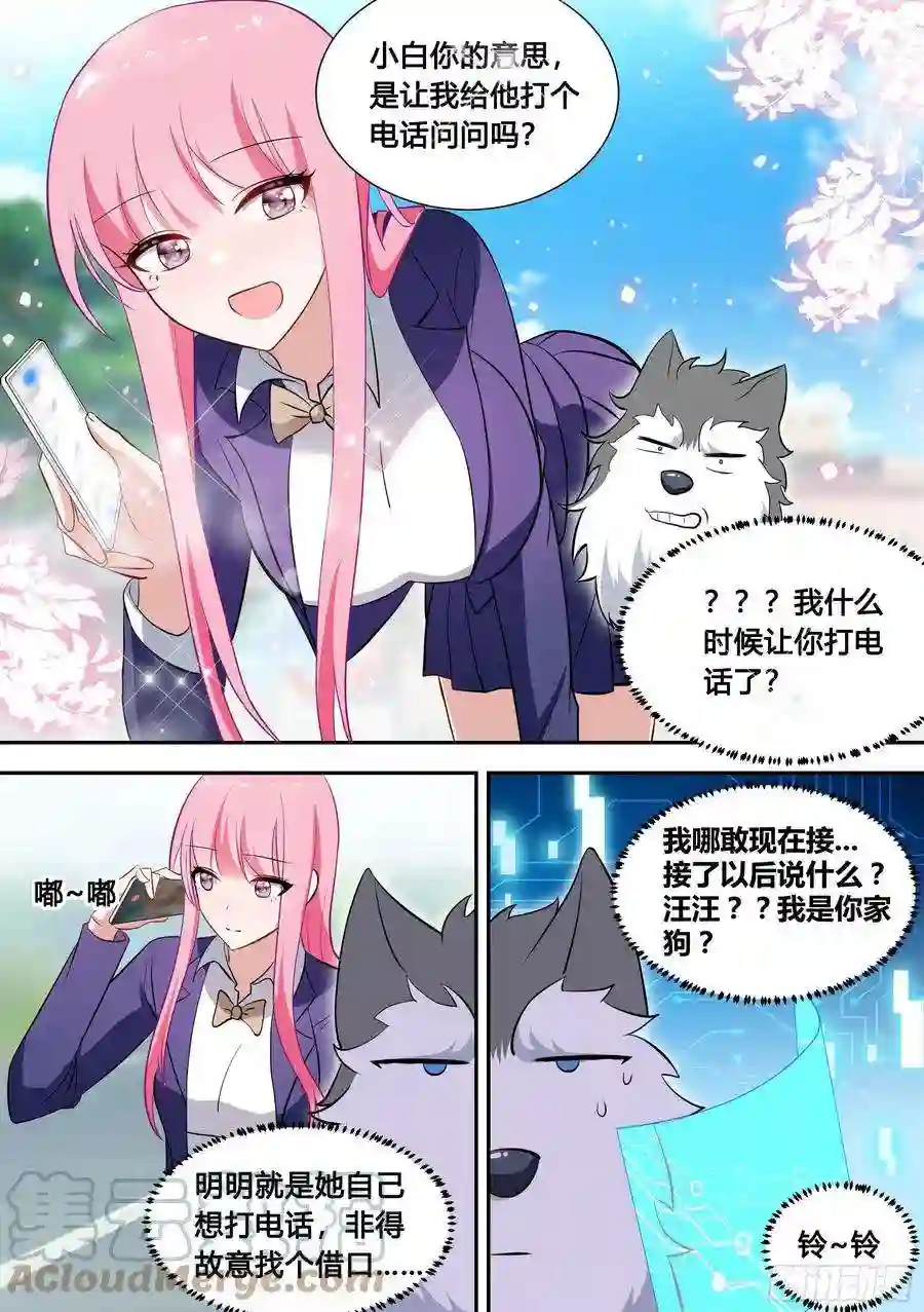 直播：女神家的哈士奇天秀89-人红是非多