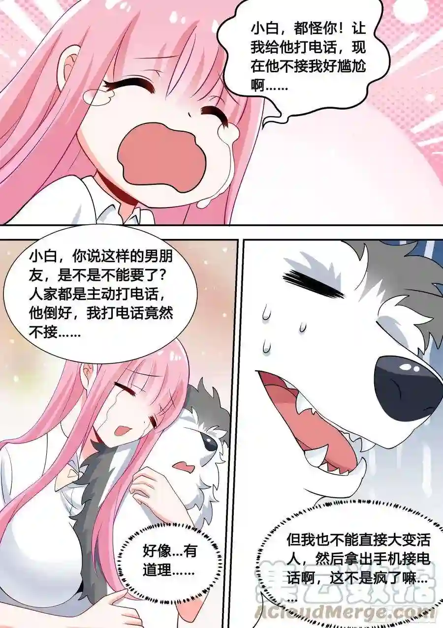 直播：女神家的哈士奇天秀89-人红是非多