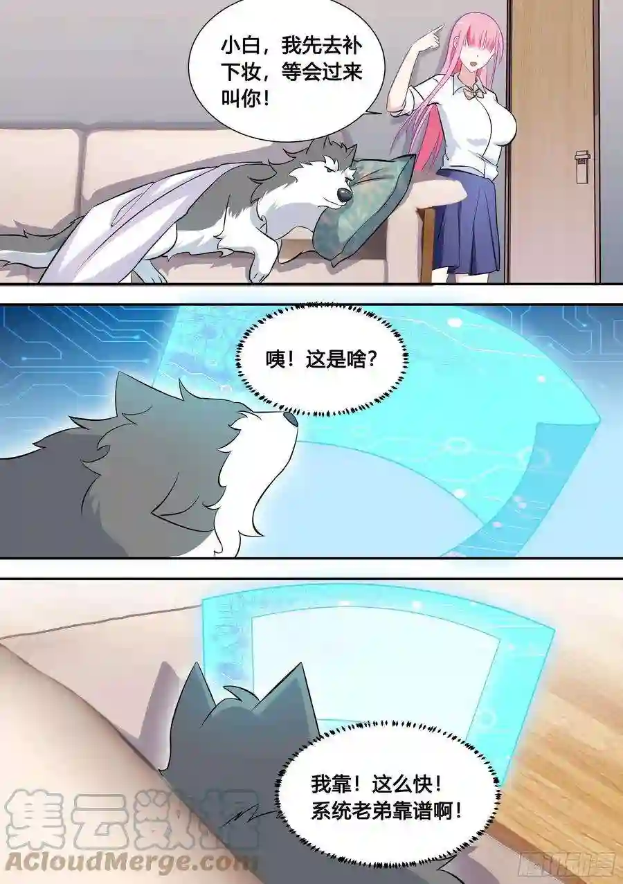 直播：女神家的哈士奇天秀89-人红是非多