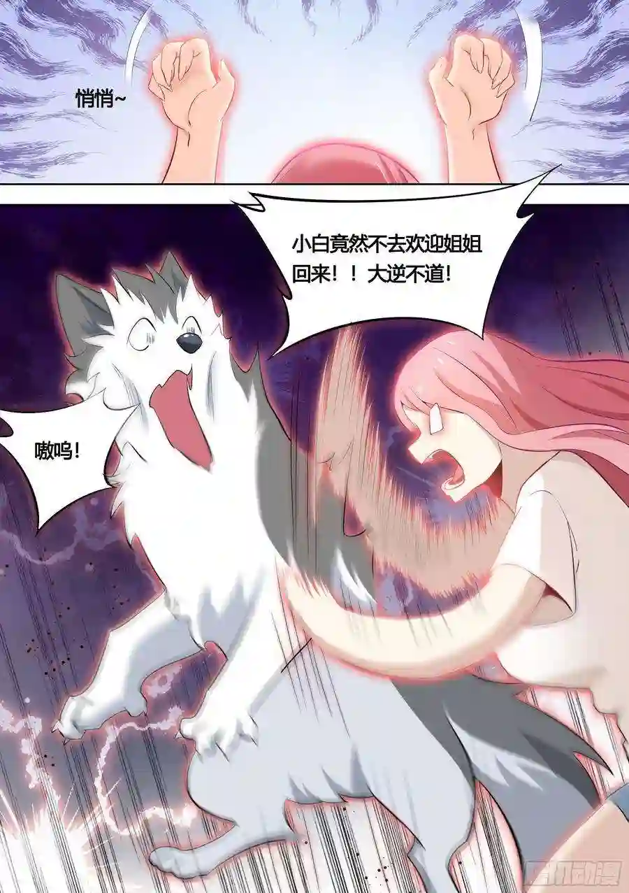 直播：女神家的哈士奇天秀151-这是要开动物园的节奏