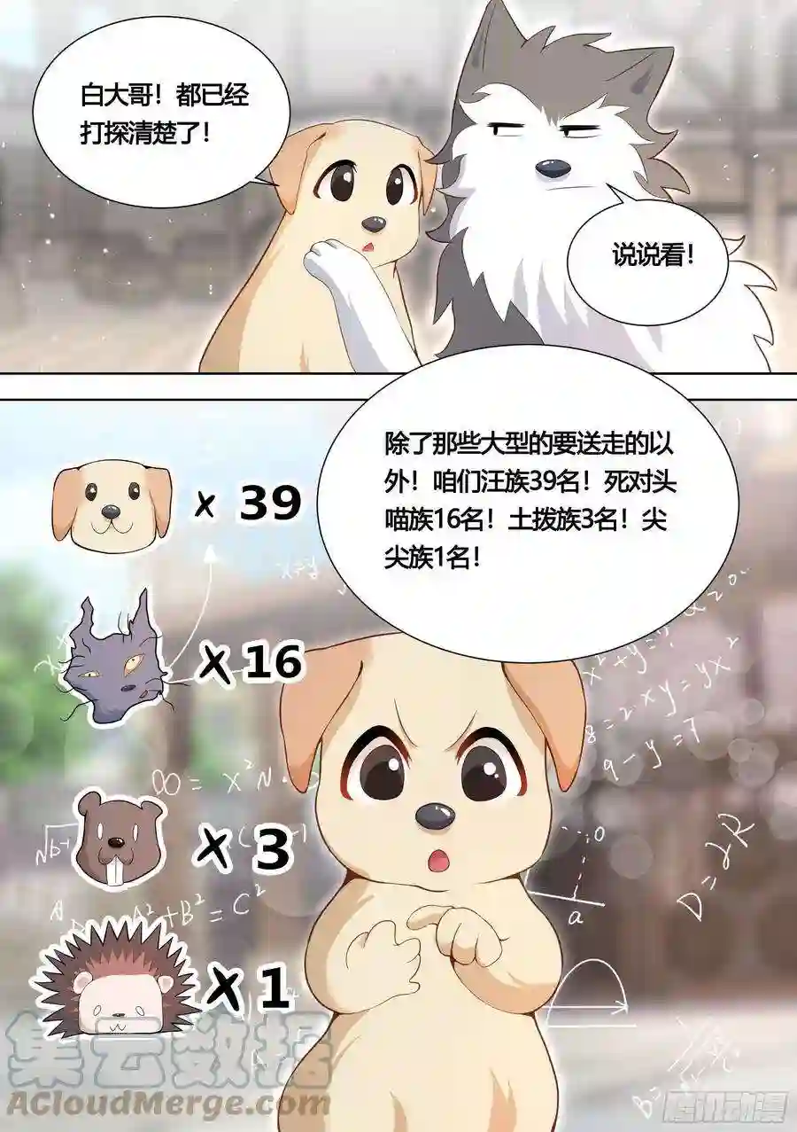 直播：女神家的哈士奇天秀151-这是要开动物园的节奏