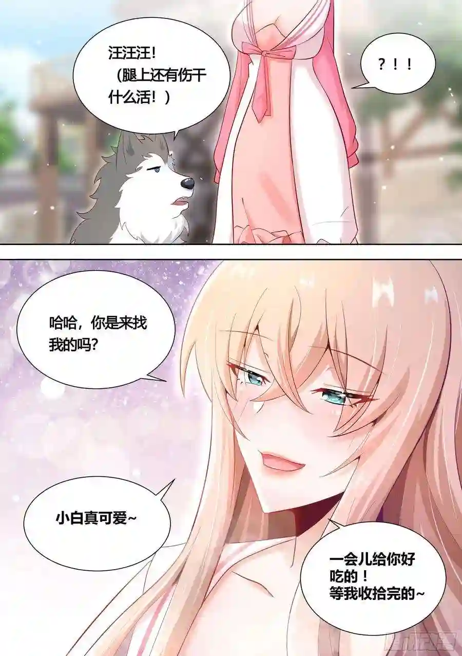 直播：女神家的哈士奇天秀151-这是要开动物园的节奏