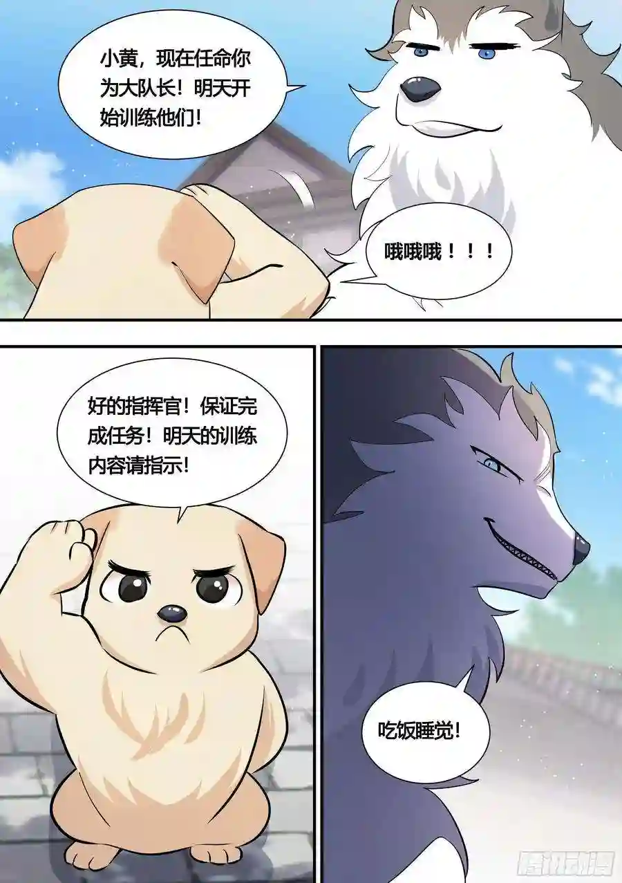 直播：女神家的哈士奇天秀152-网红培养，我最强