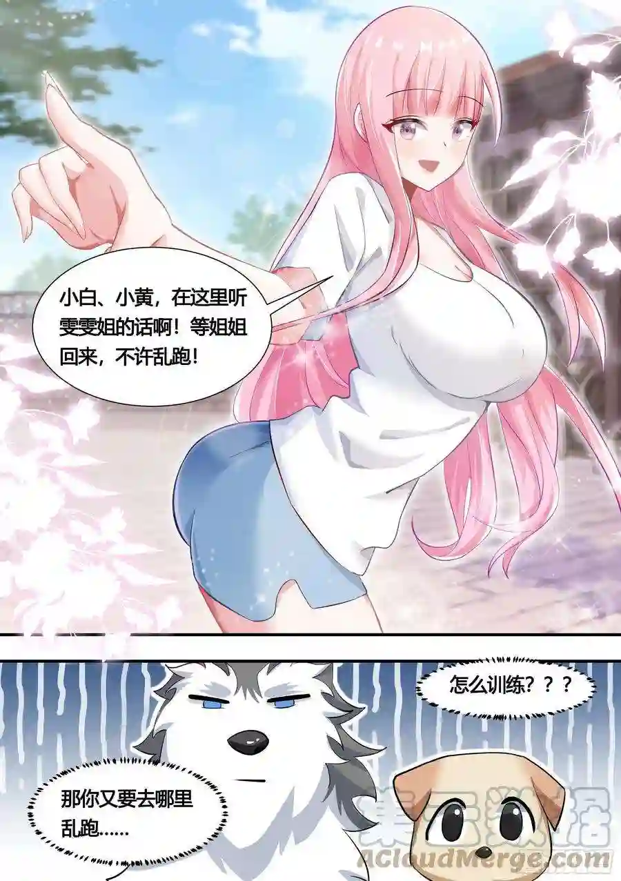 直播：女神家的哈士奇天秀152-网红培养，我最强