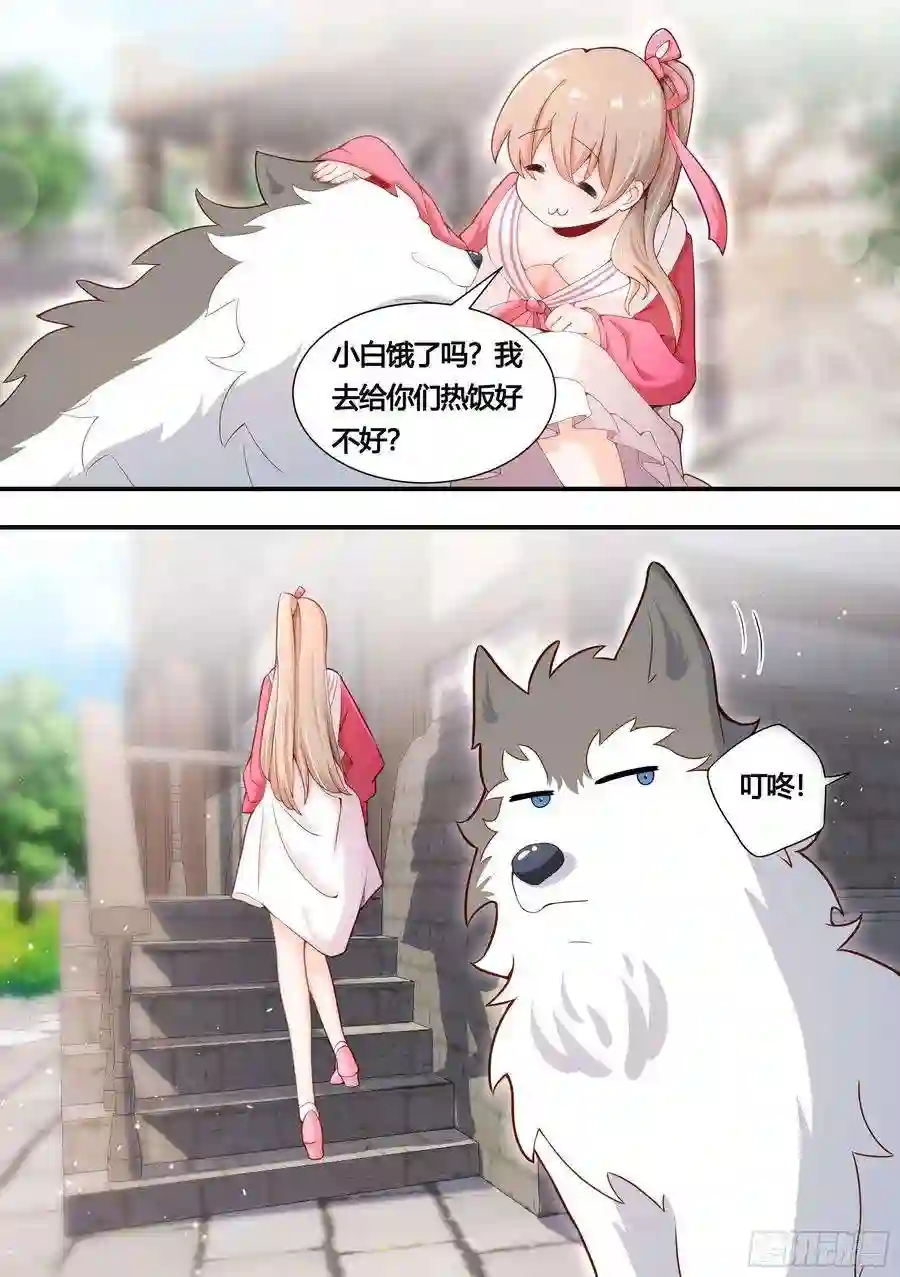 直播：女神家的哈士奇天秀152-网红培养，我最强