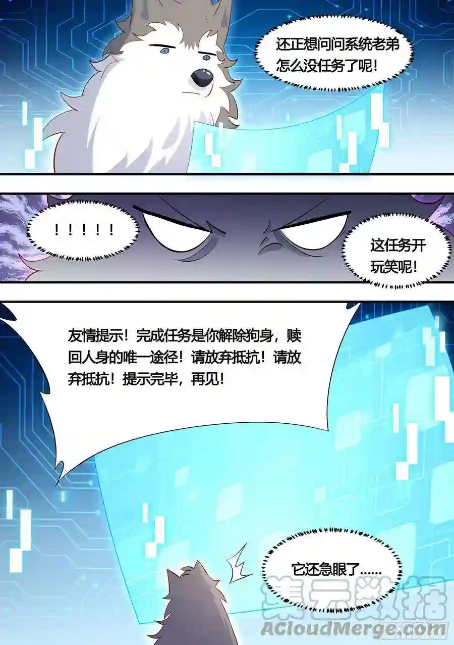 直播：女神家的哈士奇天秀152-网红培养，我最强