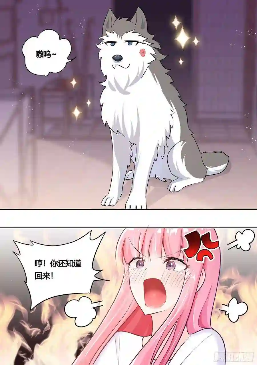 直播：女神家的哈士奇天秀156-婉清的眼神犀利了起来