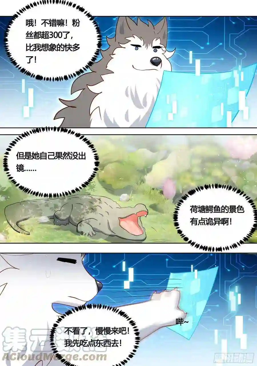 直播：女神家的哈士奇天秀157-有老虎！