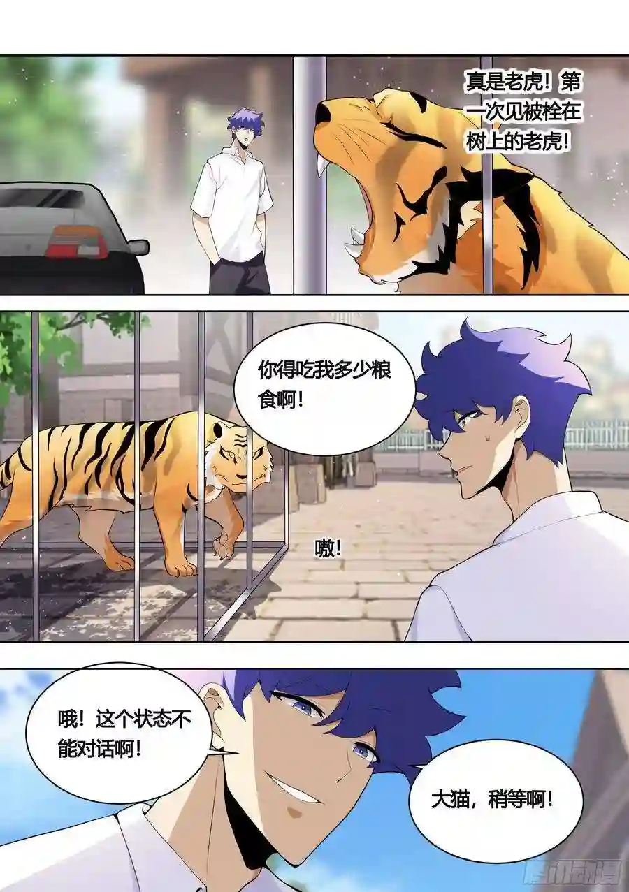 直播：女神家的哈士奇天秀157-有老虎！