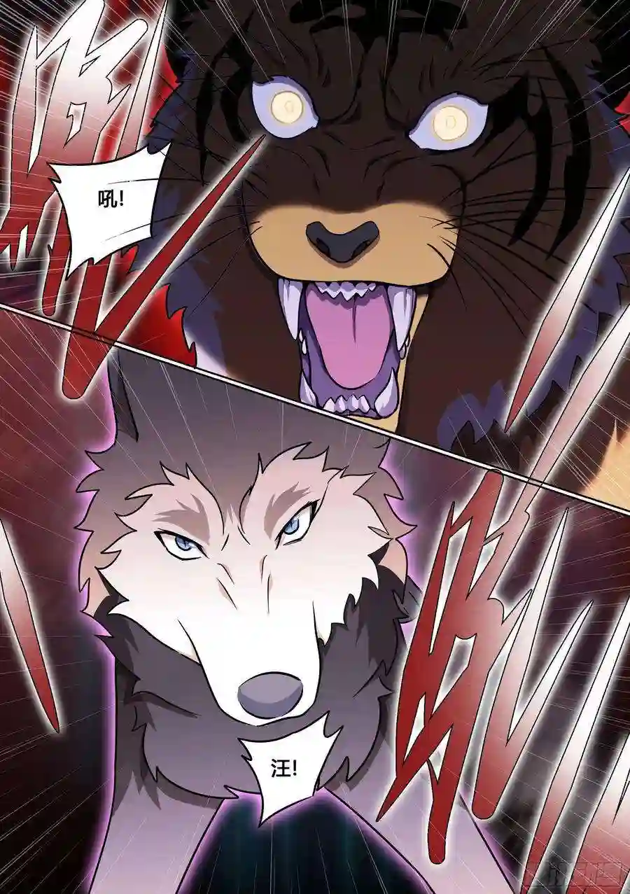 直播：女神家的哈士奇天秀158-小白打虎