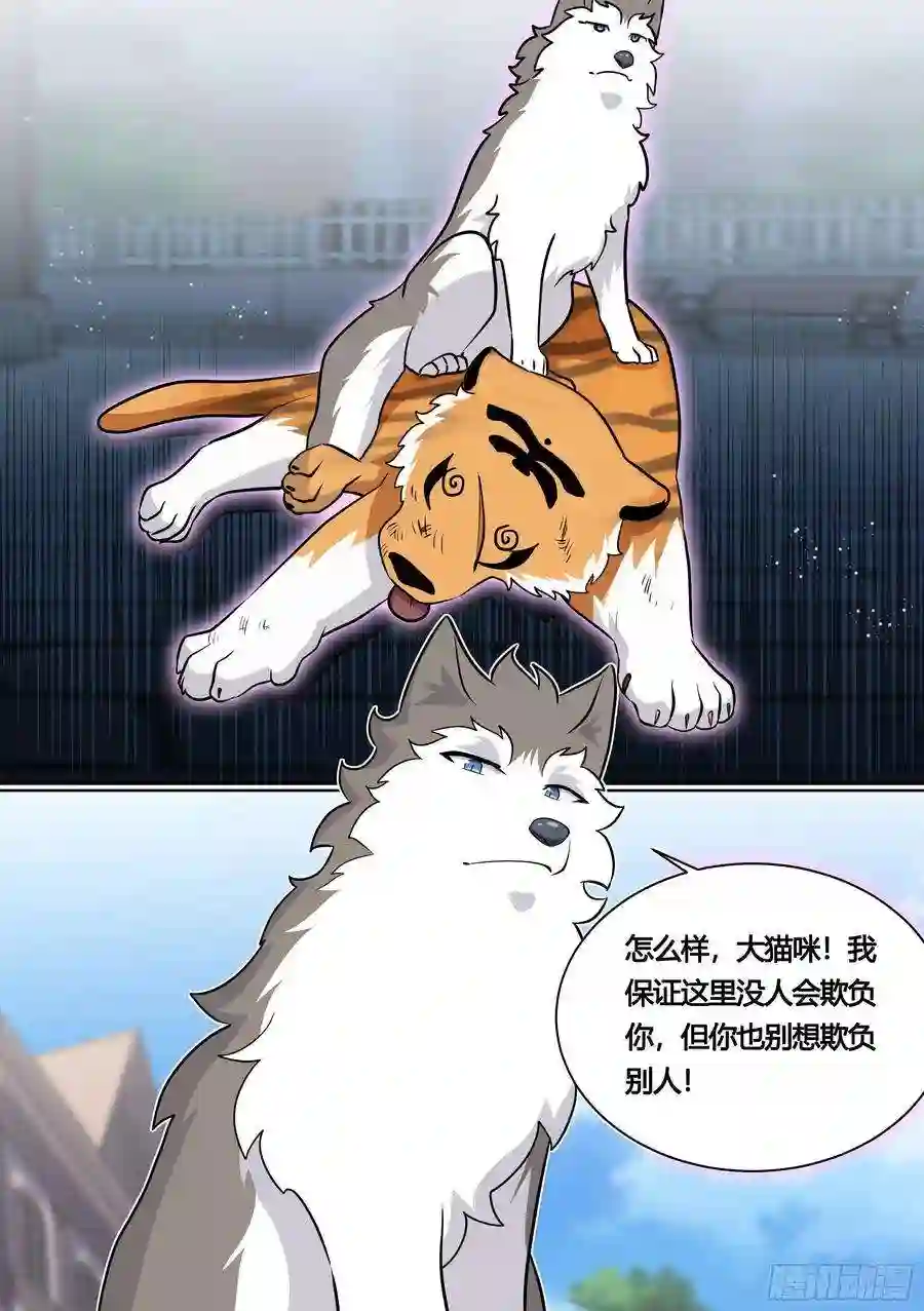 直播：女神家的哈士奇天秀158-小白打虎