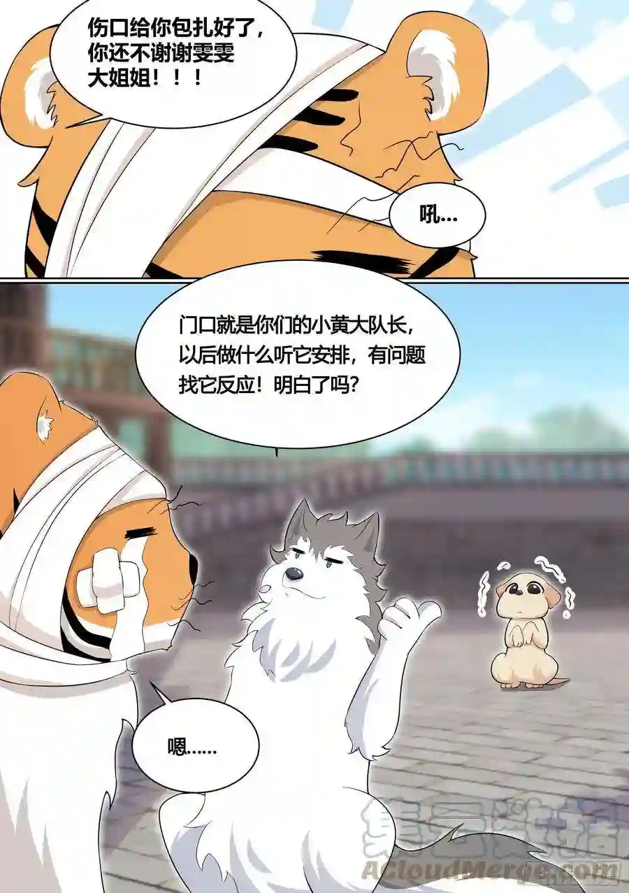 直播：女神家的哈士奇天秀158-小白打虎