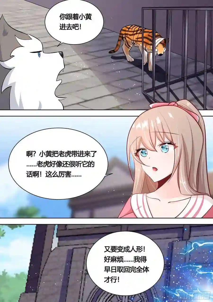 直播：女神家的哈士奇天秀158-小白打虎