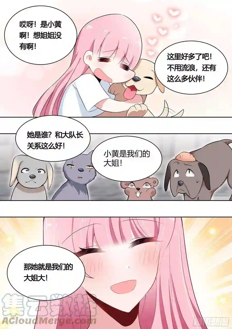 直播：女神家的哈士奇天秀159-愿赌服输