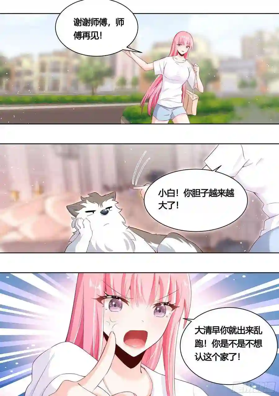 直播：女神家的哈士奇天秀159-愿赌服输