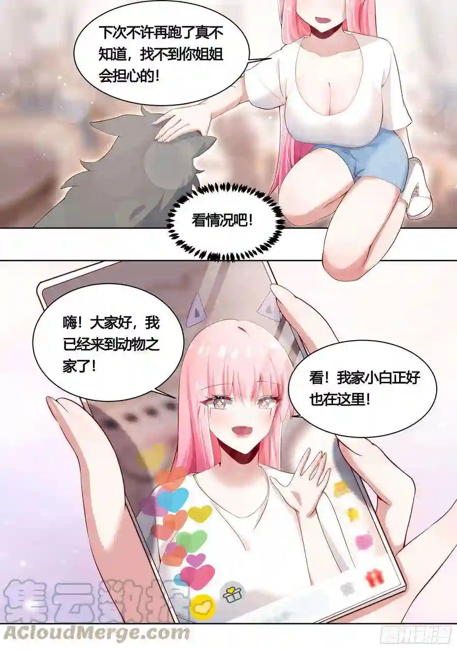 直播：女神家的哈士奇天秀159-愿赌服输