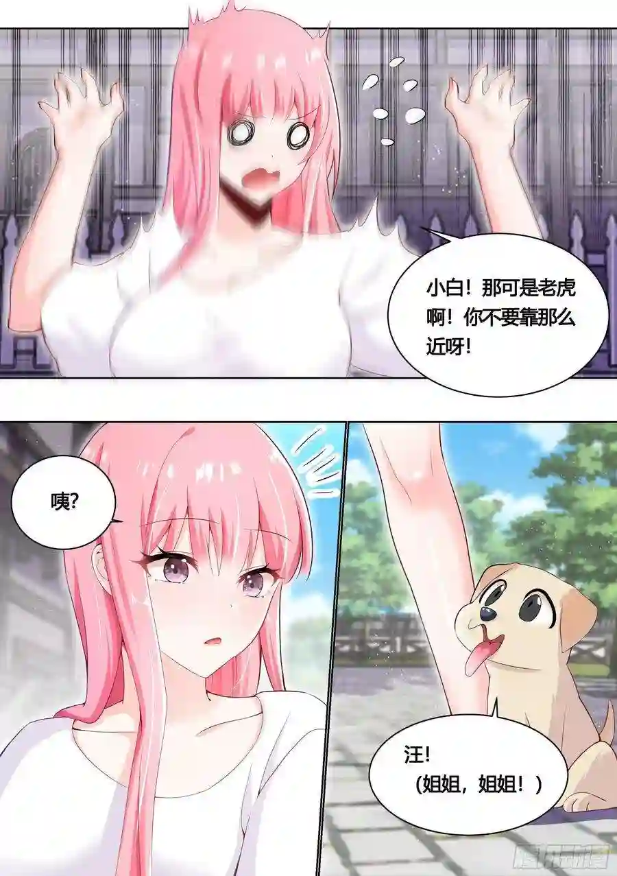 直播：女神家的哈士奇天秀159-愿赌服输