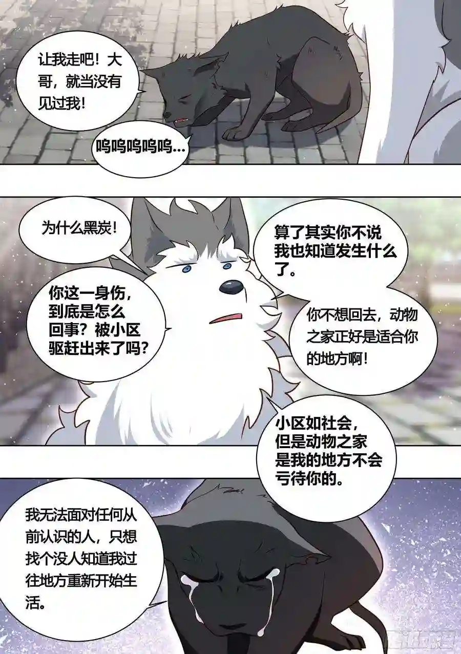 直播：女神家的哈士奇天秀160-落魄小弟求收留