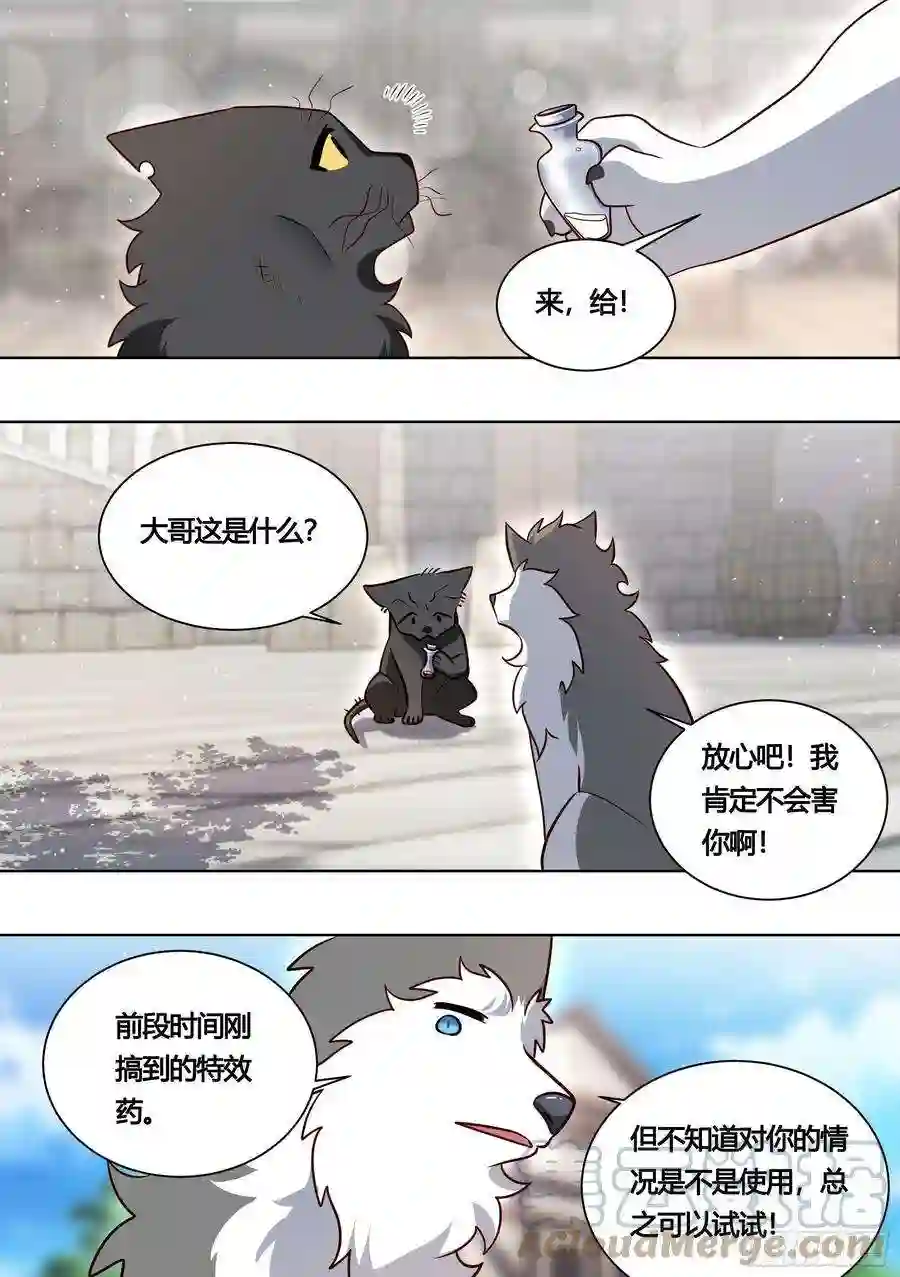 直播：女神家的哈士奇天秀160-落魄小弟求收留