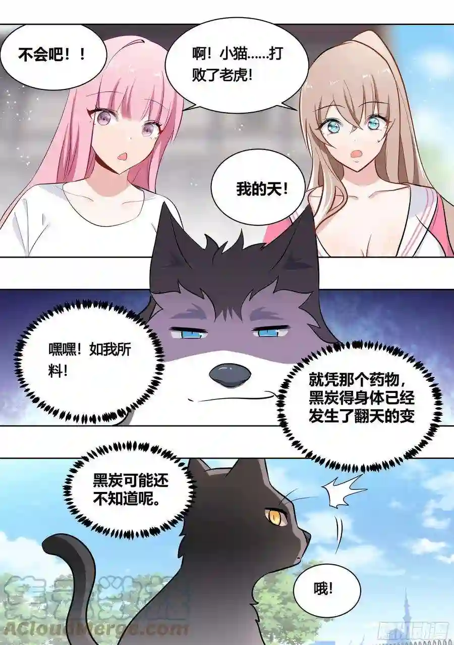 直播：女神家的哈士奇天秀161-药水的威力