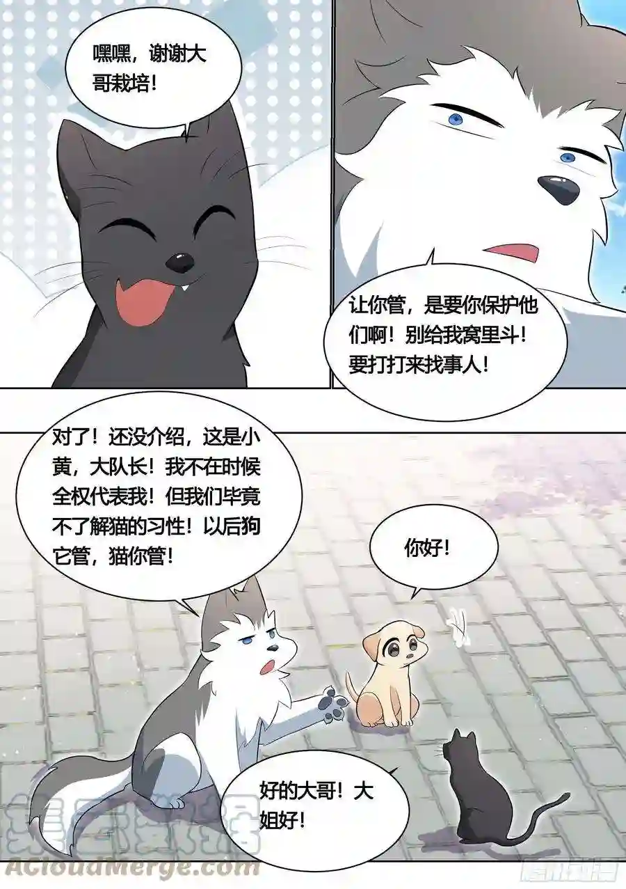 直播：女神家的哈士奇天秀161-药水的威力