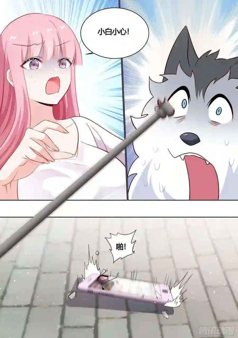 直播：女神家的哈士奇天秀162-强行拉郎