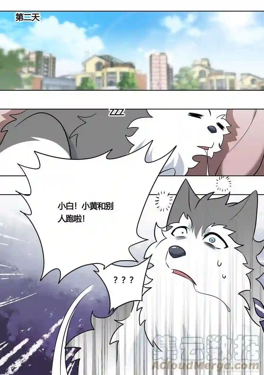 直播：女神家的哈士奇天秀162-强行拉郎