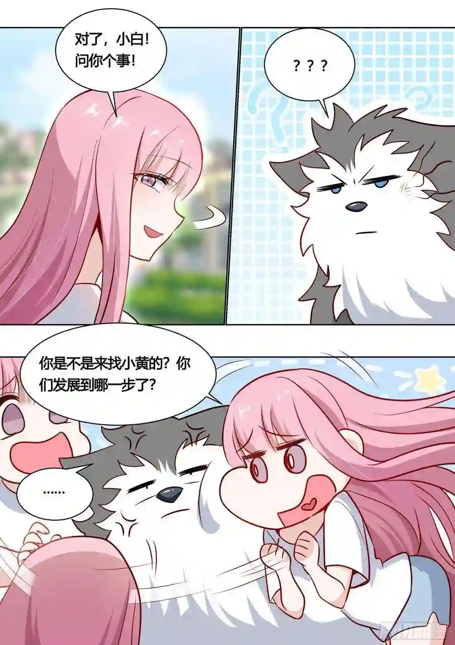 直播：女神家的哈士奇天秀162-强行拉郎