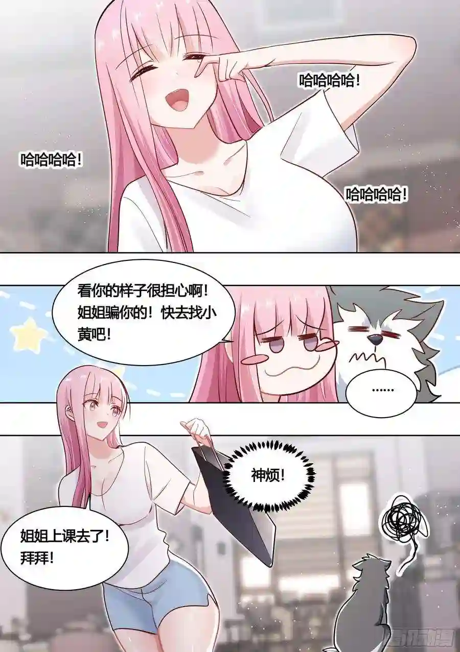 直播：女神家的哈士奇天秀163-运动会