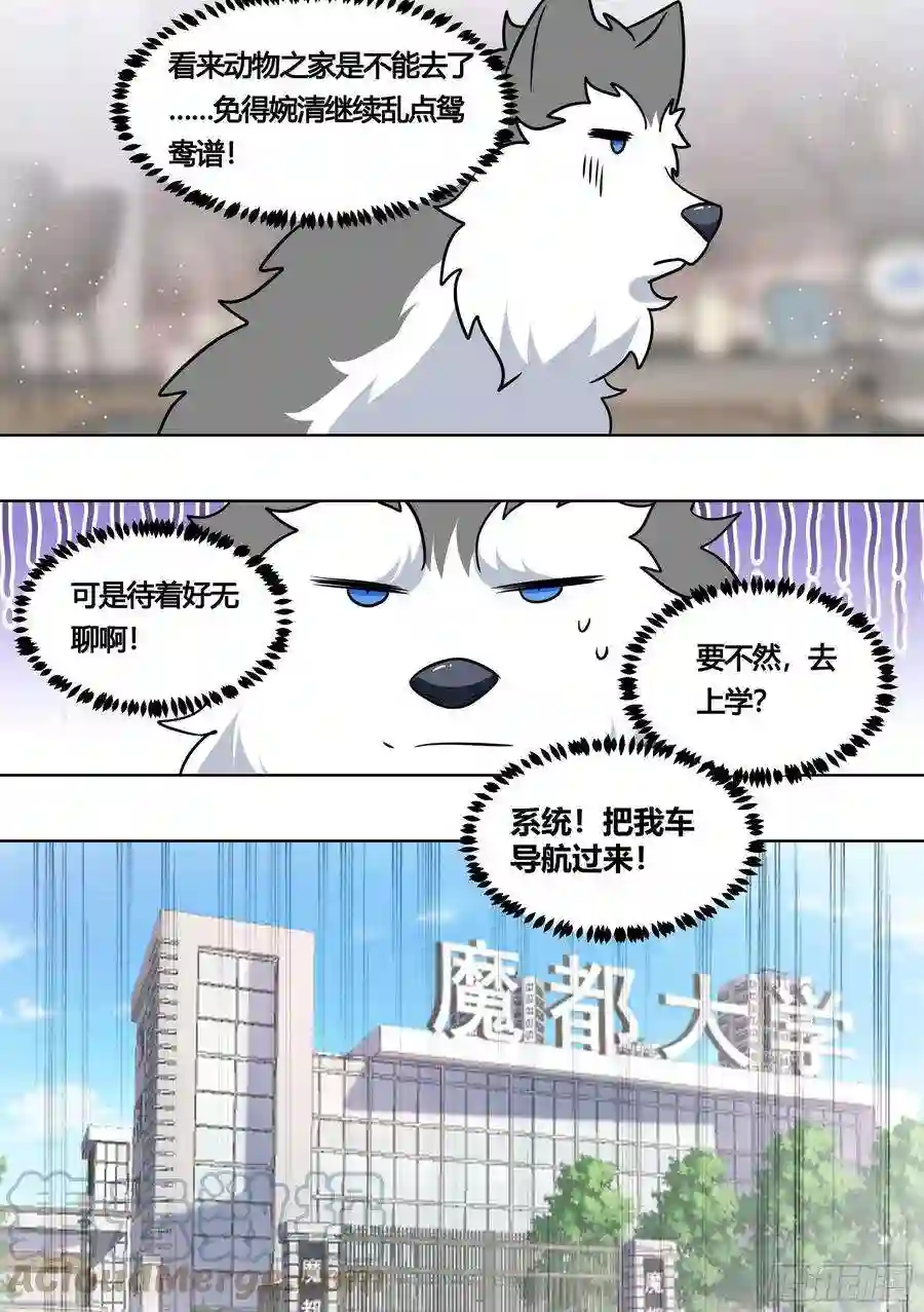 直播：女神家的哈士奇天秀163-运动会