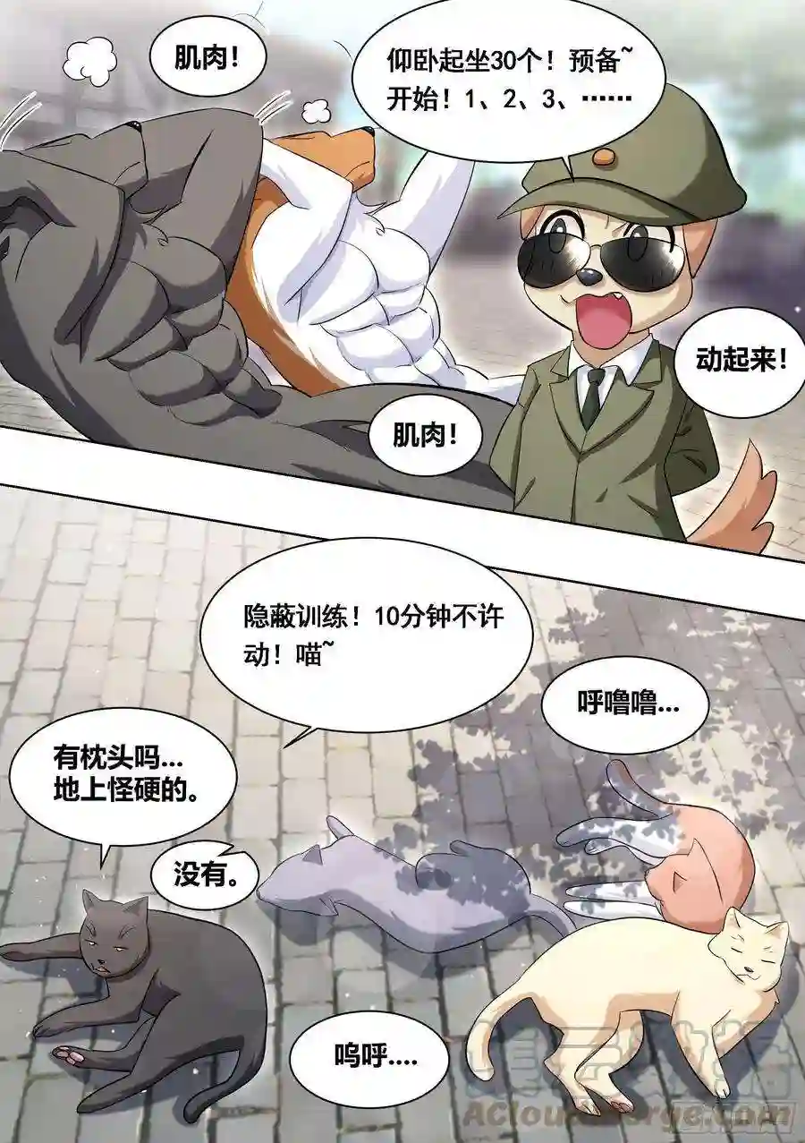 直播：女神家的哈士奇天秀167-灾祸将至