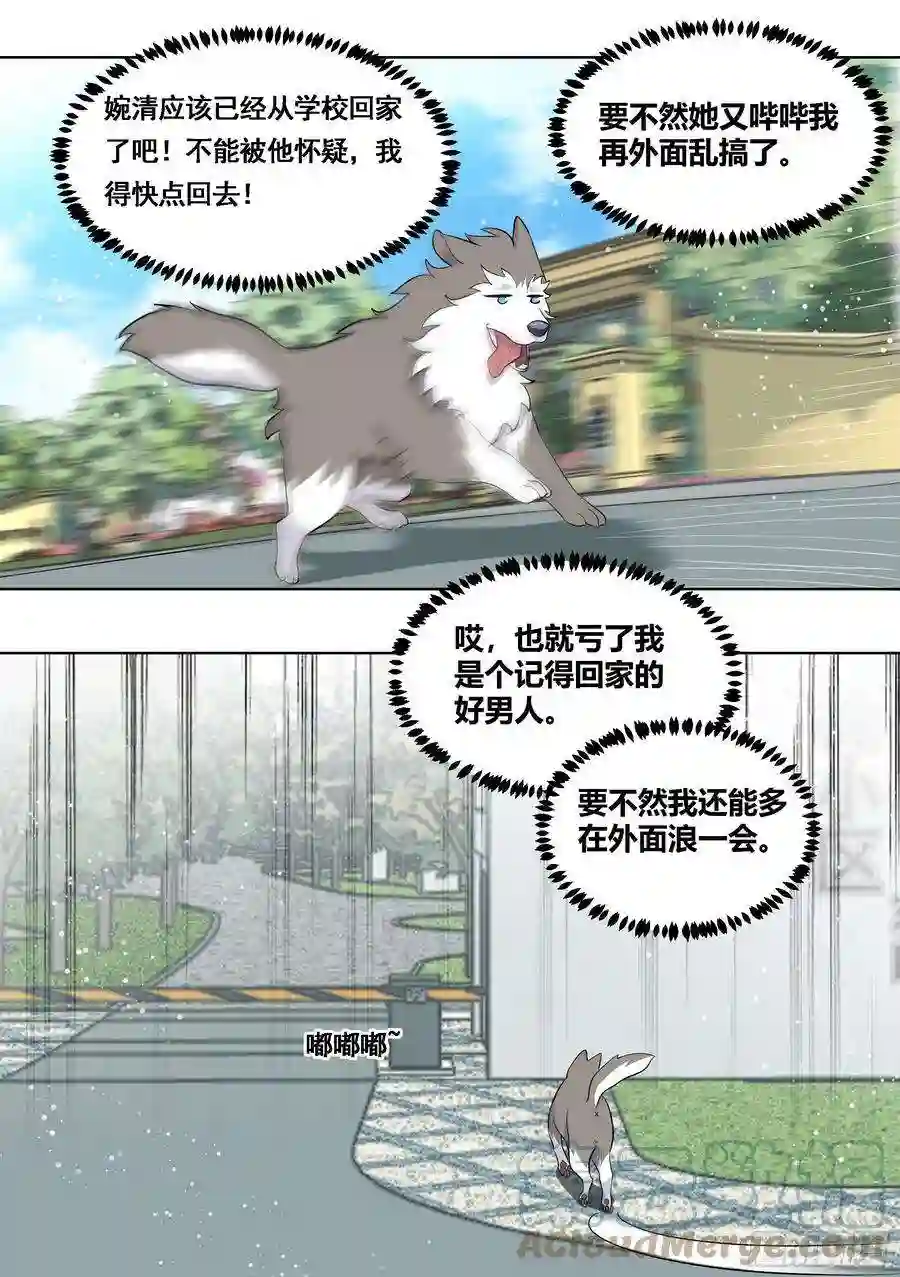 直播：女神家的哈士奇天秀169-拯救雯雯