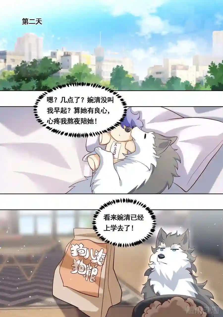 直播：女神家的哈士奇天秀169-拯救雯雯