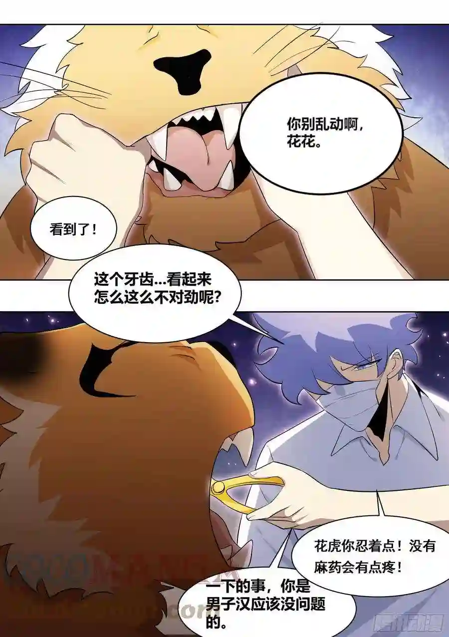 直播：女神家的哈士奇天秀171-拔牙艰难