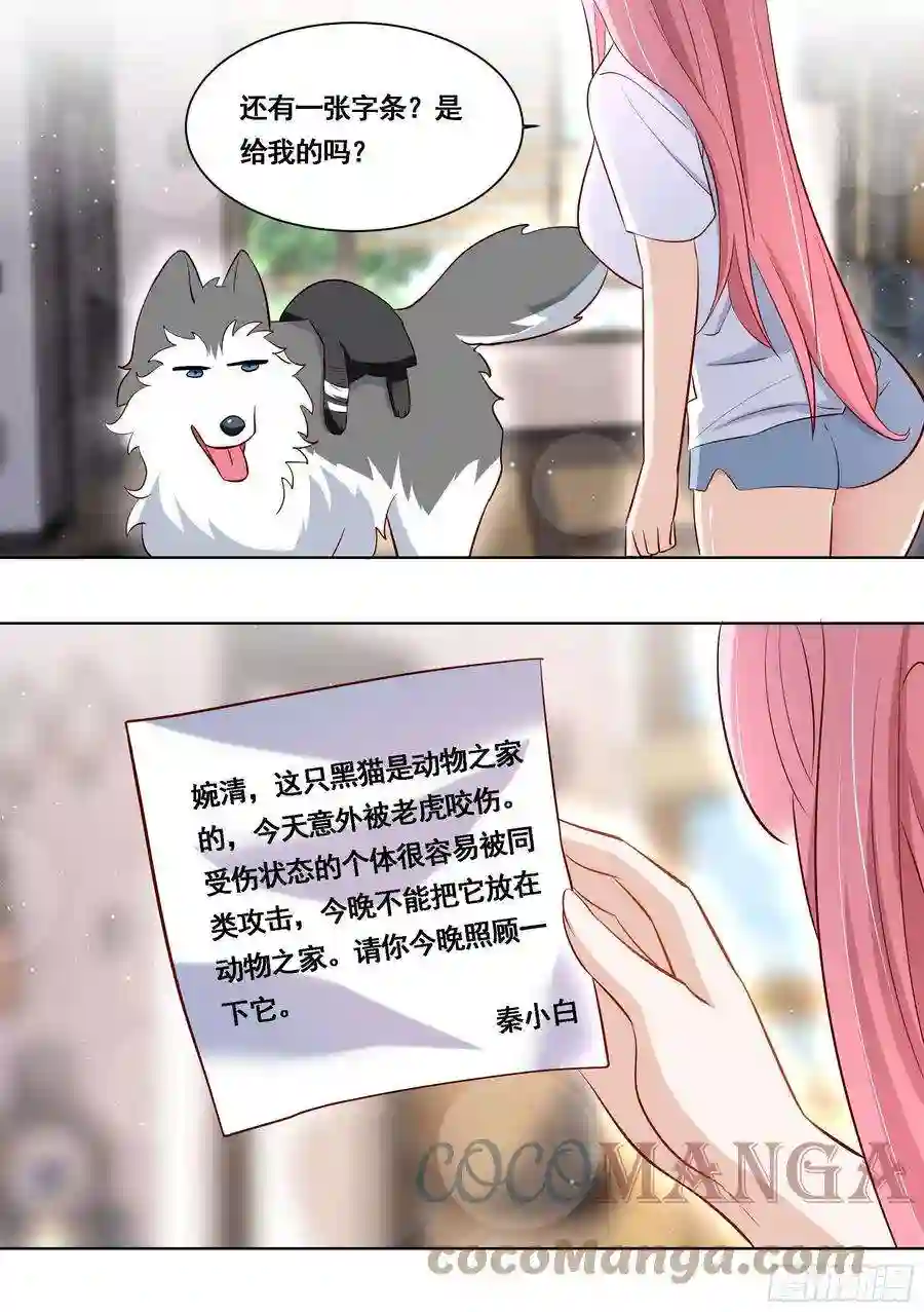 直播：女神家的哈士奇天秀171-拔牙艰难