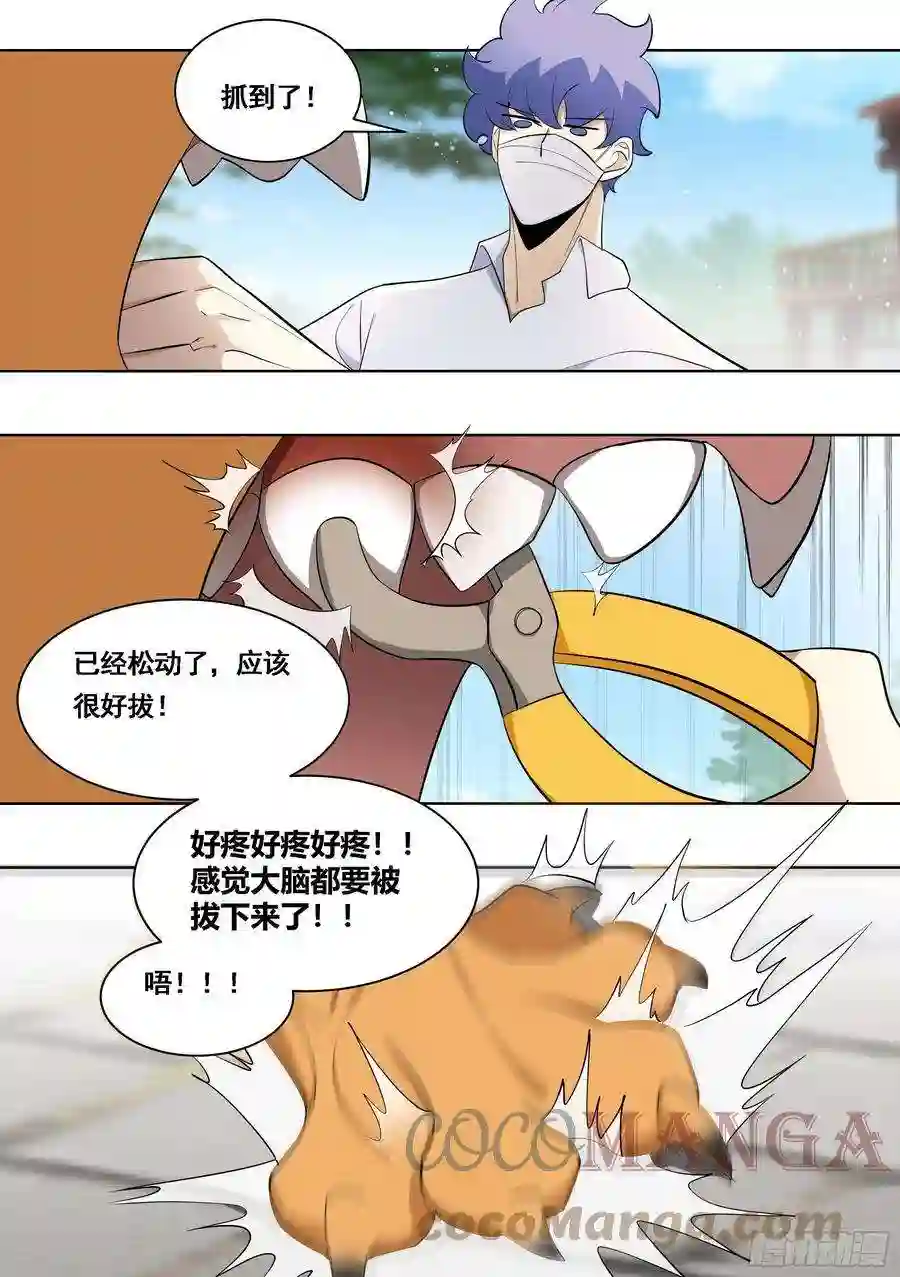 直播：女神家的哈士奇天秀171-拔牙艰难