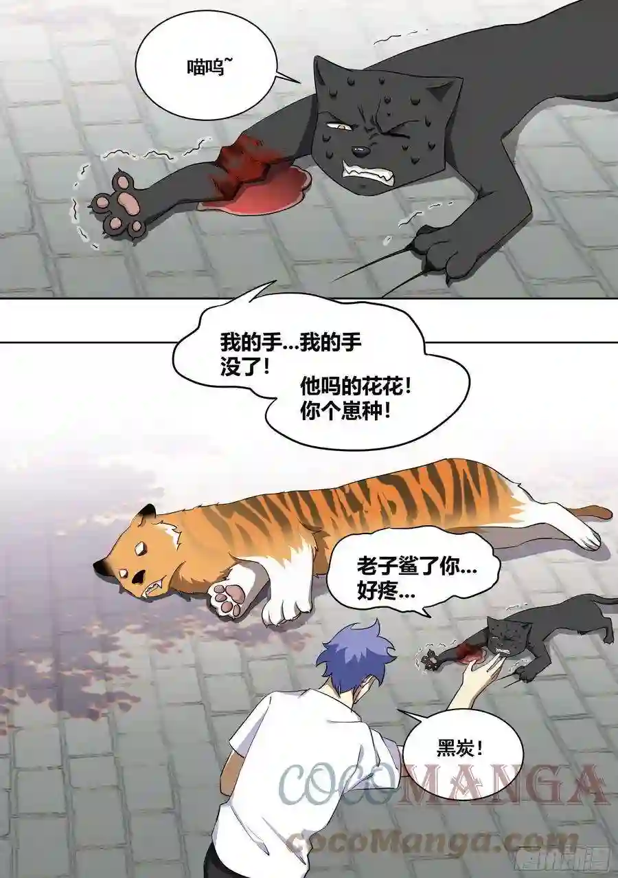 直播：女神家的哈士奇天秀171-拔牙艰难