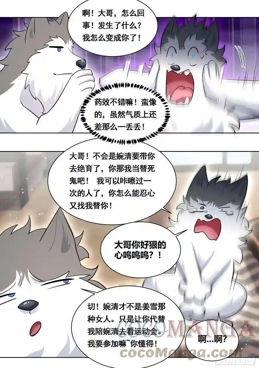 直播：女神家的哈士奇天秀172-我成替身了