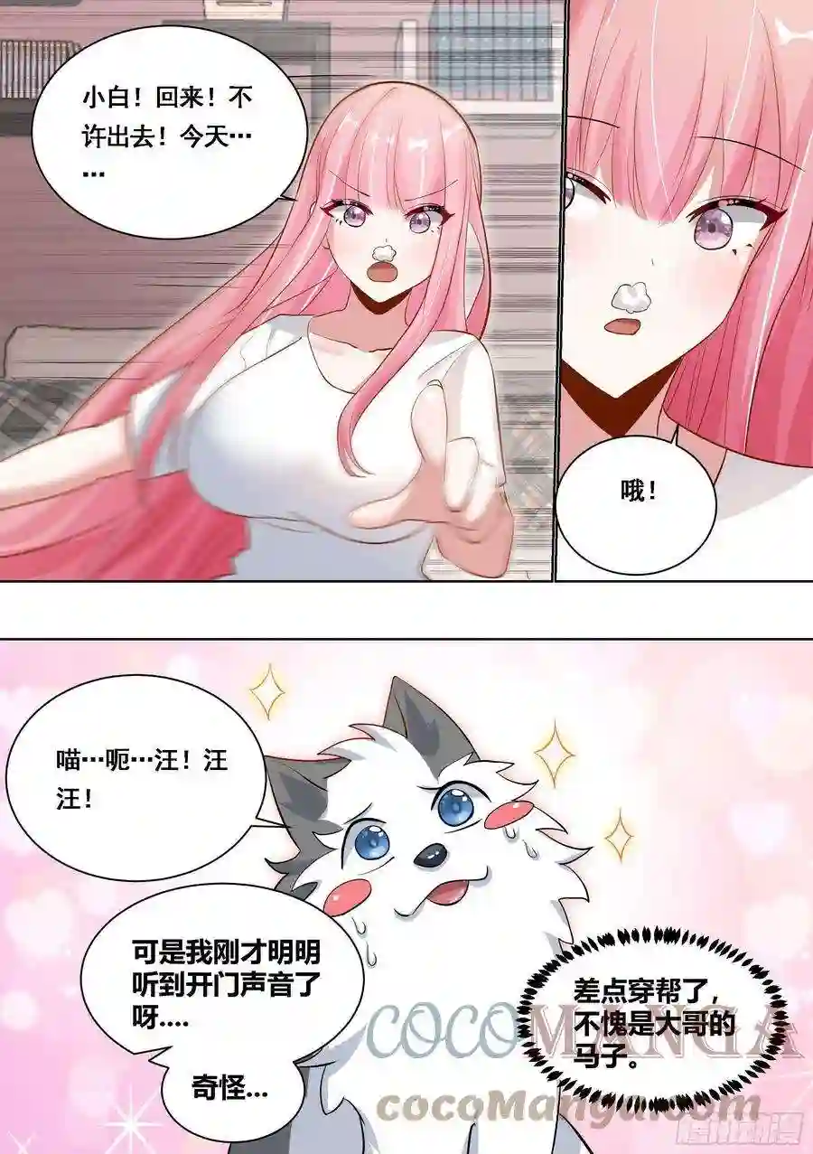 直播：女神家的哈士奇天秀172-我成替身了