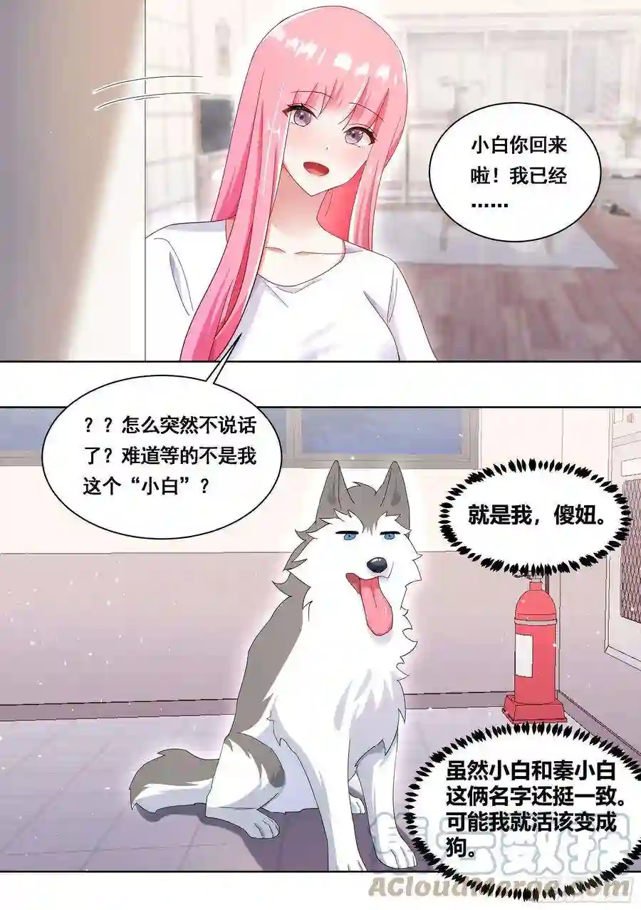 直播：女神家的哈士奇天秀177-眼福……