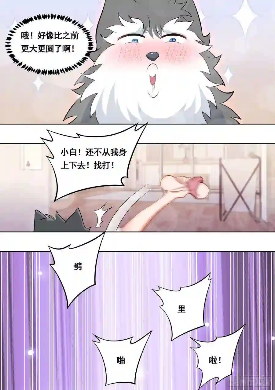 直播：女神家的哈士奇天秀177-眼福……