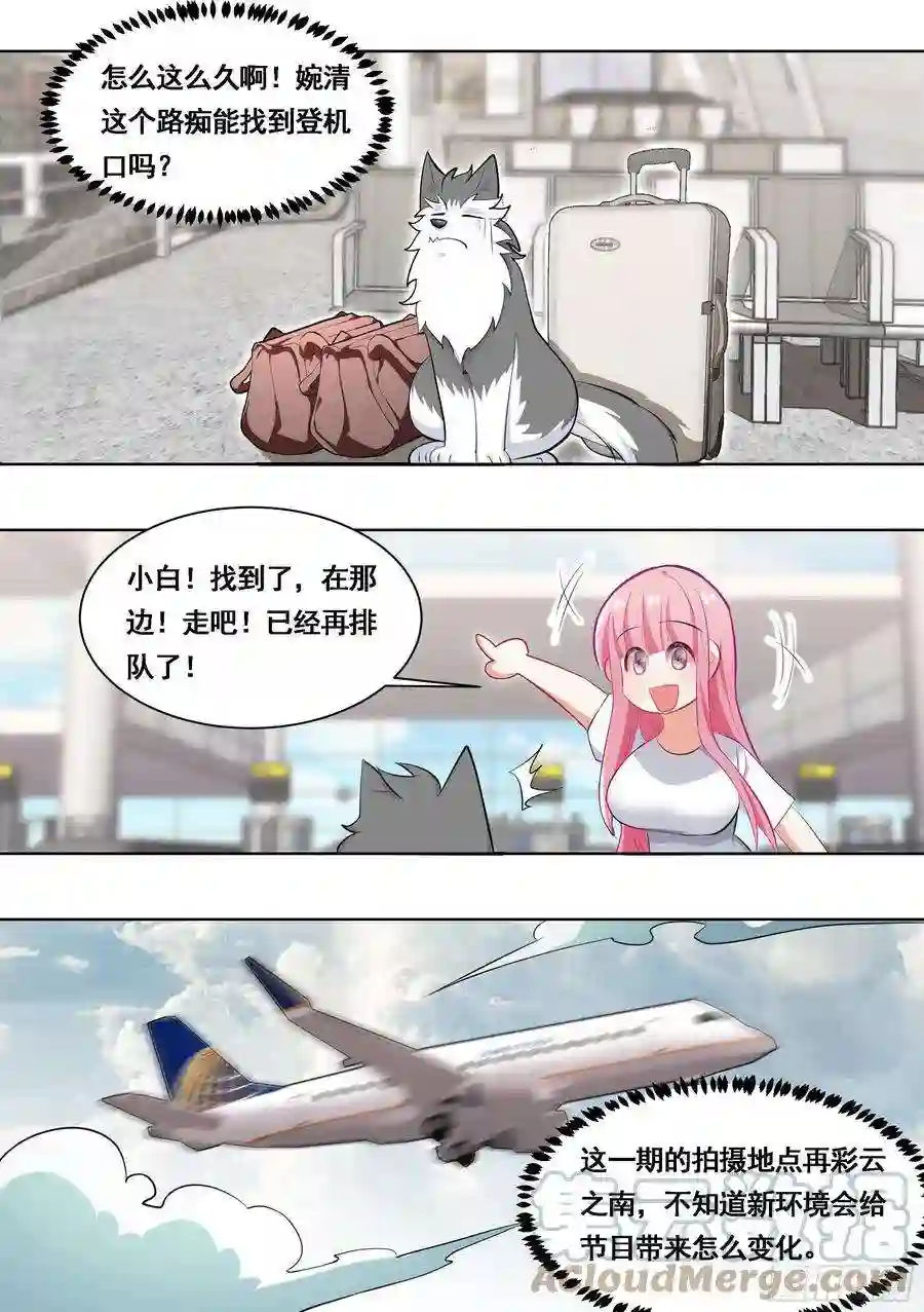 直播：女神家的哈士奇天秀拆家准备