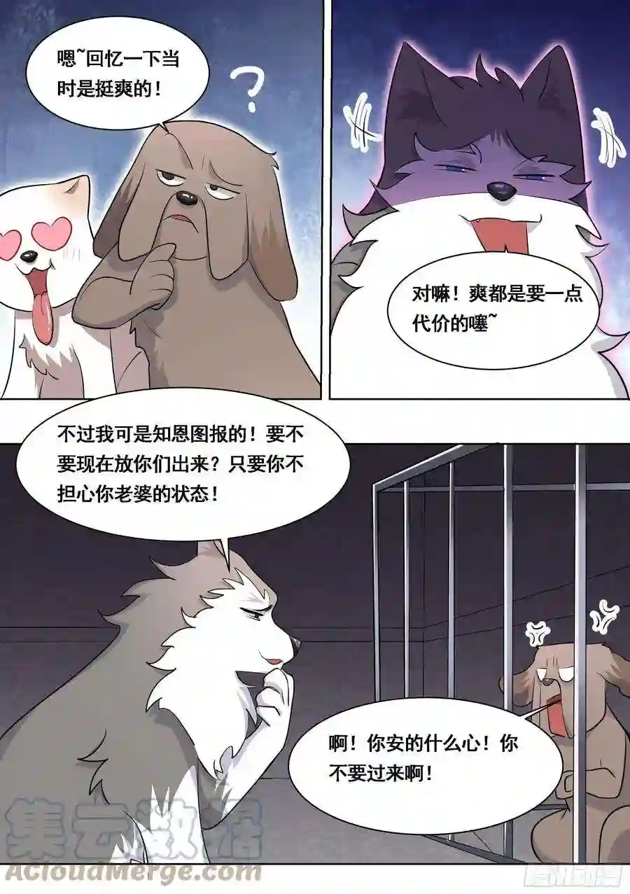 直播：女神家的哈士奇天秀拆家准备